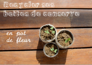 Recycler ses boites de concerve en pot de fleur